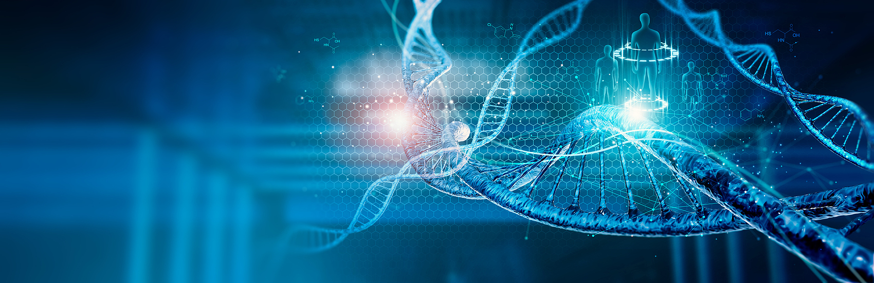 DNA分子结构：双螺旋、基因组医学研究